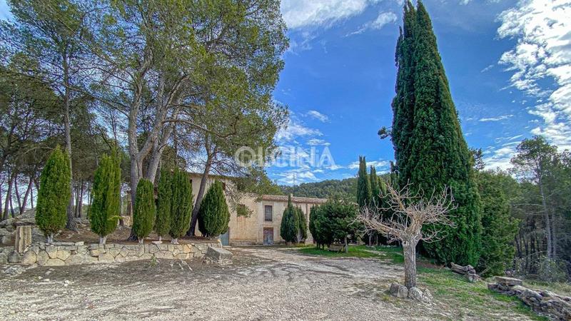 Foto a9b24ed5-a6d7-459c-a530-bd059edbf876. Casale con parcheggio in Santa Rosa Alcoi