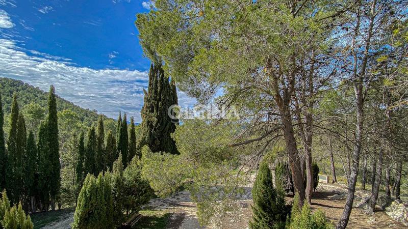 Foto 15ef6504-b170-4338-a765-14163a9cca3e. Mas avec parking dans Santa Rosa Alcoi