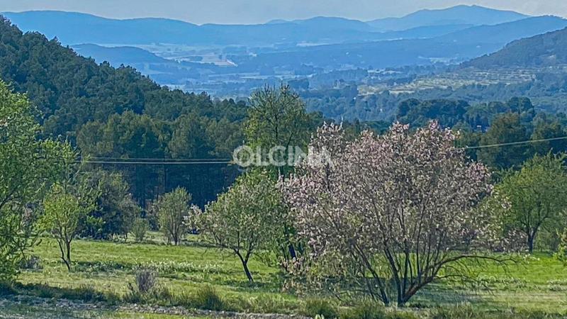 Foto 704f15d3-7731-4422-96ef-88189868086c. Masía en Santa Rosa Alcoi