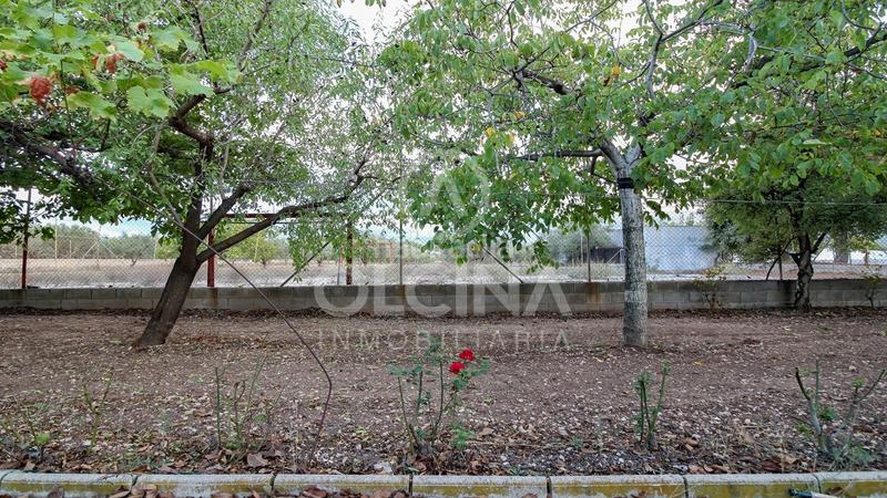 Foto da0b4fb6-f17c-468a-9f86-2422e28107b5. Fondo rustico in Castalla