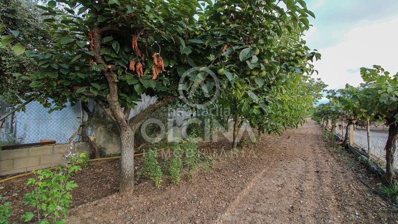 Foto 1faeb61c-f289-4db0-a0d9-83dcc2095e81. Finca rústica a Castalla