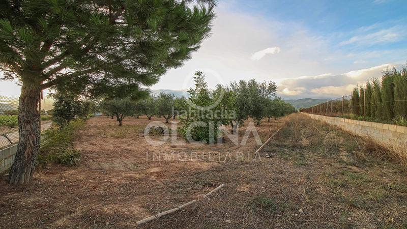 Foto 4540fbc5-dac7-4198-8eea-50a7bd600ac8. Finca rústica a Castalla