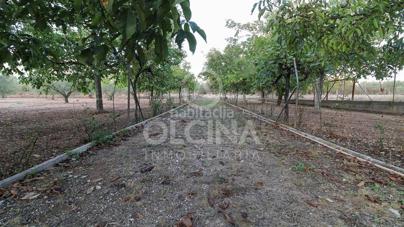 Foto 59f3b290-e8e5-458a-abf1-bce296c8f17e. Finca rústica a Castalla