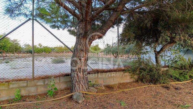 Foto a8c640f9-c80b-4496-bf8f-c5a0d1dc2bf4. Finca rústica a Castalla