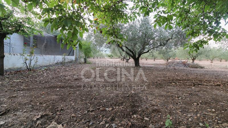 Foto bf1f4d80-8a8d-429a-b1e9-3a382f247104. Finca rústica a Castalla