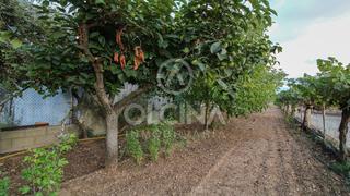 Finca rústica a Castalla