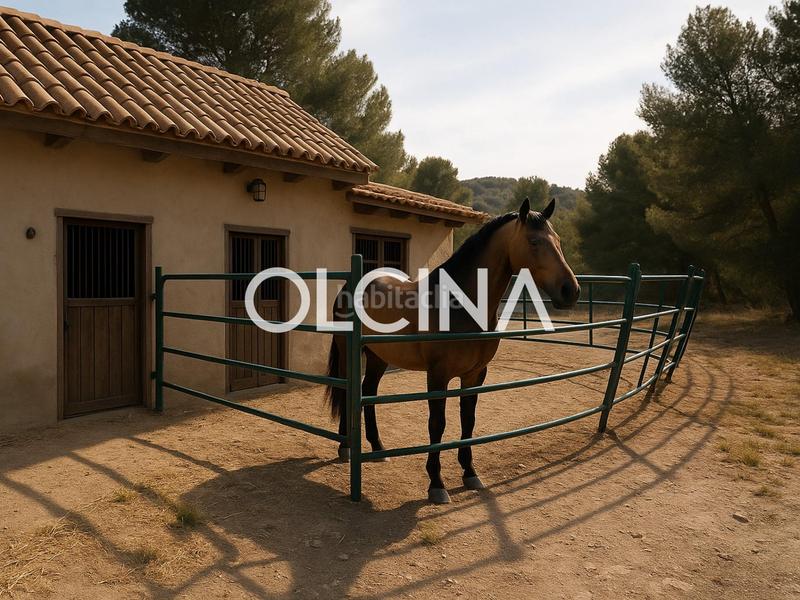 Foto 11cffaa7-44b3-4d41-a5ca-49d9251d1e96. Mas dans Tibi