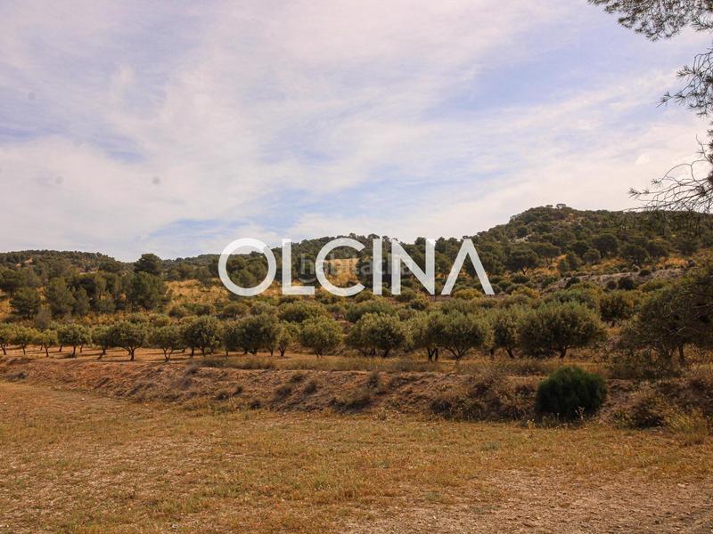 Foto 832cd65e-8ad9-435b-ab8b-a0b7915334fc. Mas dans Tibi