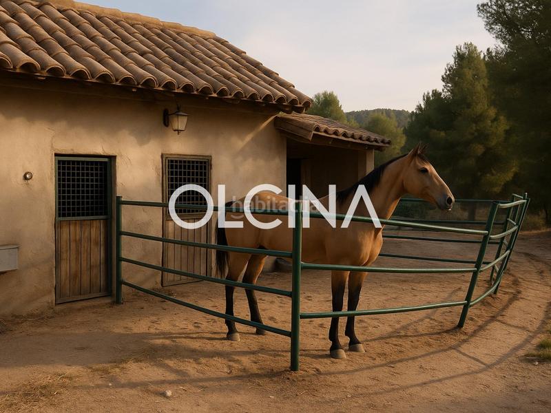 Foto b08abcfc-1806-4052-8930-17a9a1d152da. Mas dans Tibi