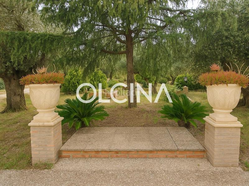 Foto e76c4890-ef32-43c2-9bcb-c3e0be5ca0d3. Mas dans Tibi