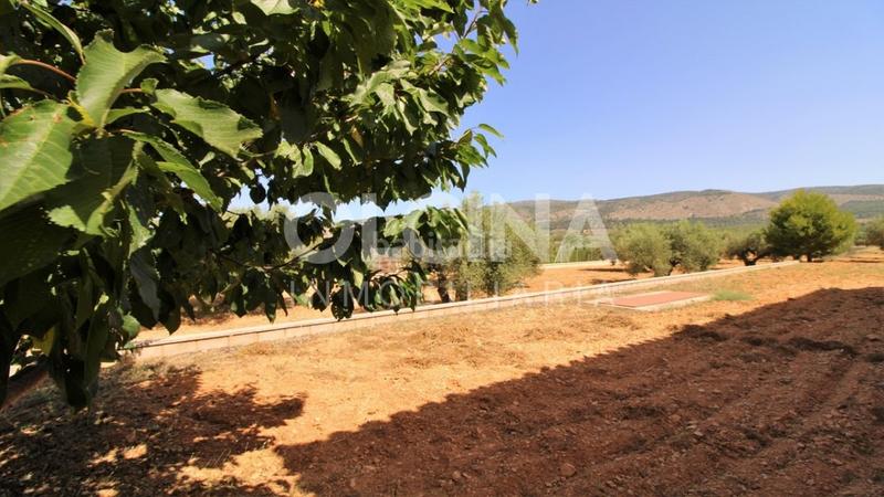 Foto caf4d33c-ae14-45eb-a7e3-6d02ae241aed. Maison avec parking dans Ibi