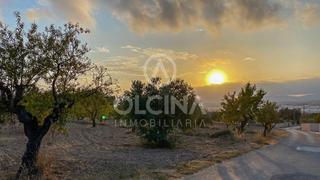 Finca rústica en Ibi. Terreno de más de 15.000 m2 para construir el chalet de tus sueñ