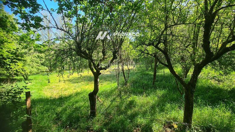 Foto c7c7aafc-d852-4c8f-8e16-591cb33f897d. Finca rústica señorin carballiño en Carballiño (O)