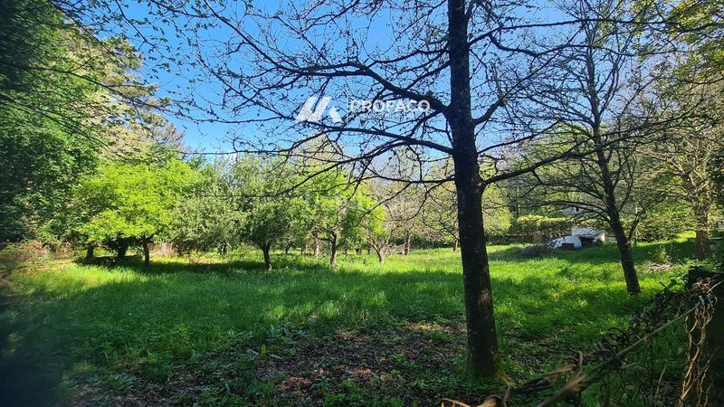 Foto fda68e77-c5aa-44b7-9fea-7ecf5852f1a7. Finca rústica señorin carballiño en Carballiño (O)