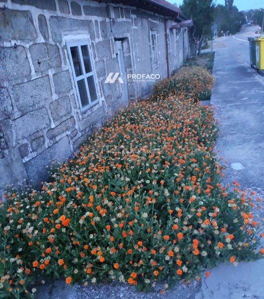 Foto 4f73c5cb-de89-4984-85f1-fc2315ff65e1. Casa a Gudiña (A)