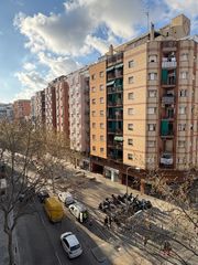 Pis  Avinguda de josep tarradellas i joan. Excelente piso 3 hab. con ascensor en hospitalet - sant josep