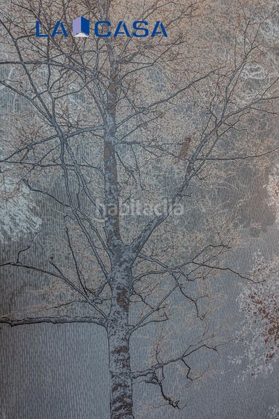 Foto 04b23ecb-2812-4e07-9707-ca71bbaf71c1. Piso en Palos de Moguer Madrid