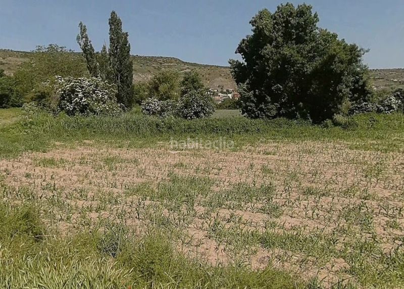 Foto ee81b819-19d0-4d25-8a90-a57a8c5a65c3. Terreno residenziale in Tielmes