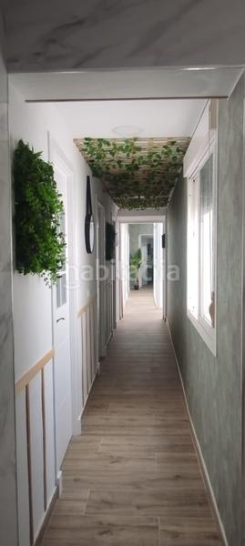 Foto da2dcbae-9681-47e7-9b91-fb1a3530ba15. Piso centro de cadiz en Alameda - Mentidero - Teatro Falla Cádiz