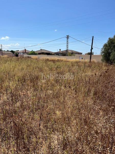 Foto 40285c7e-187d-4819-8d08-009a436d9e80. Finca rústica terreno rustico segregado hipotecable en Chiclana de la Frontera