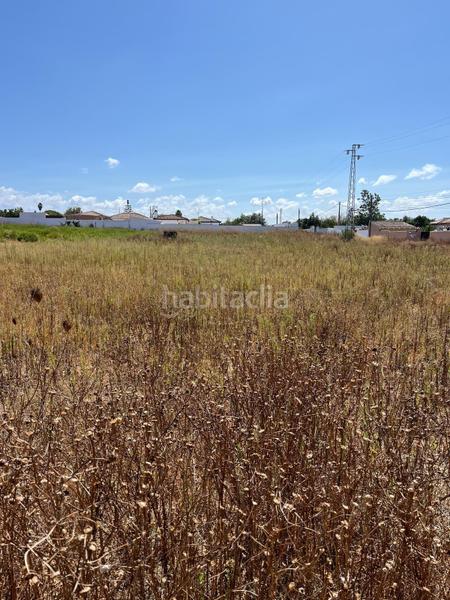 Foto 54f194dd-f8fd-4232-a154-a80c112a0026. Finca rústica terreno rustico segregado hipotecable en Chiclana de la Frontera