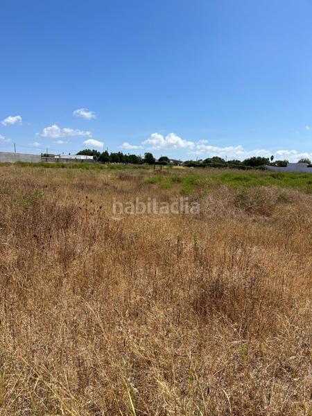 Foto a8111952-f86c-4808-9d7e-8934b10e271c. Finca rústica terreno rustico segregado hipotecable en Chiclana de la Frontera