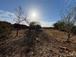 Rural plot  Hozanejos pago huno. Terreno rustico segregado hipotecable