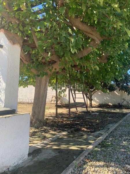 Foto 1dca6443-f1d6-4eb4-81d4-9a36143af783. Mas dans Pelagatos - Pago del Humo Chiclana de la Frontera