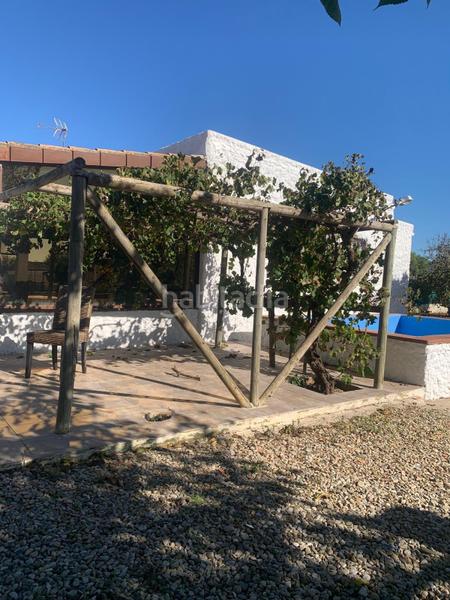 Foto 236e46c3-82d0-48e8-933e-75daa23ea23b. Mas dans Pelagatos - Pago del Humo Chiclana de la Frontera