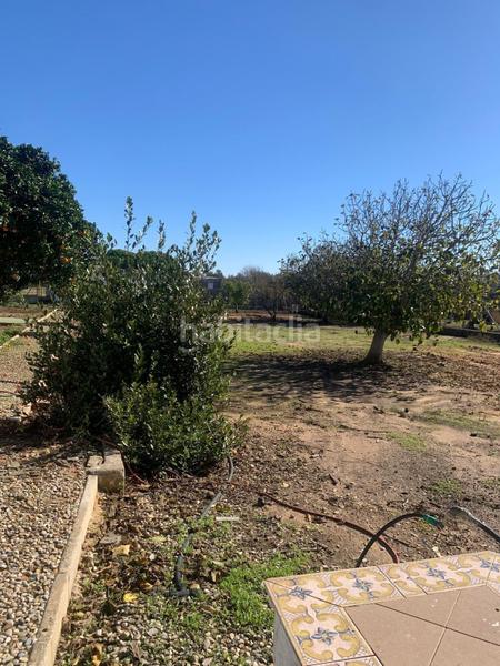 Foto 3c13ab97-984e-46ee-90f3-48c27f5eee1f. Mas dans Pelagatos - Pago del Humo Chiclana de la Frontera