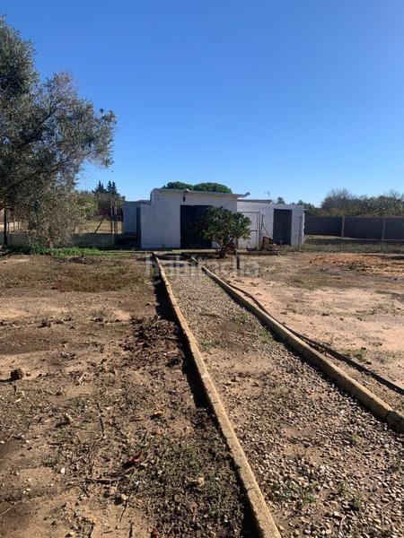 Foto 5b265bc7-49bf-47da-ad47-9e98d3ccc7b4. Mas dans Pelagatos - Pago del Humo Chiclana de la Frontera