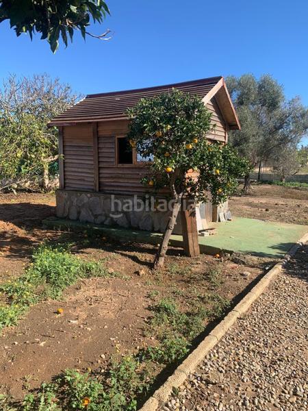 Foto 88c0bbfc-68f1-446e-9314-d0a718cdad77. Mas dans Pelagatos - Pago del Humo Chiclana de la Frontera