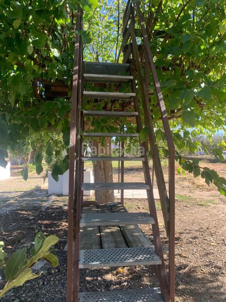 Foto d2061d0a-eb15-43c1-a531-696d4d372095. Mas dans Pelagatos - Pago del Humo Chiclana de la Frontera