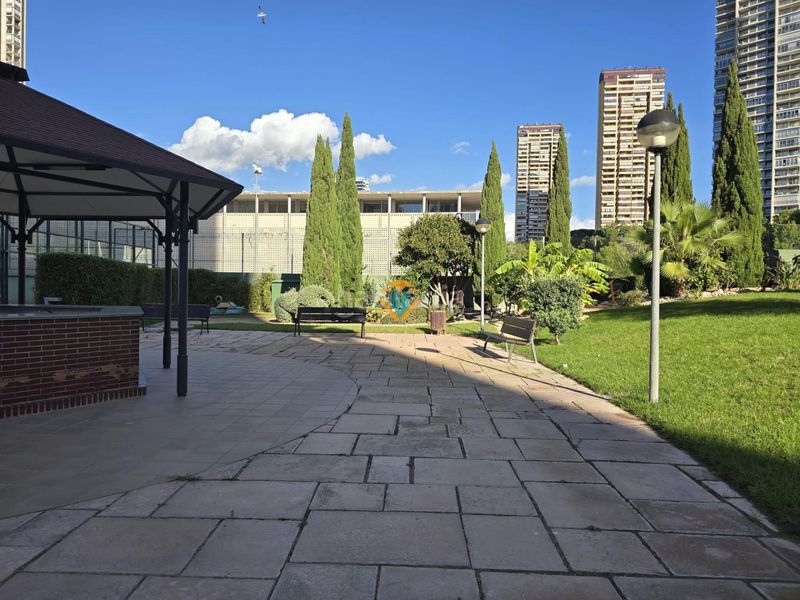 Foto 092cea82-f4cd-4bc9-88e9-957b580132d9. Apartament amb calefacció aparcament piscina a Via Parque Benidorm