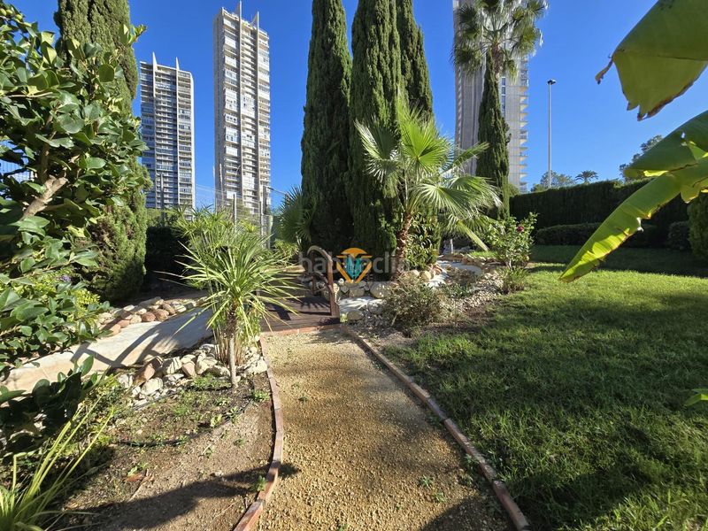 Foto 46d85357-1367-4461-96b7-ee93d823366c. Apartament amb calefacció aparcament piscina a Via Parque Benidorm