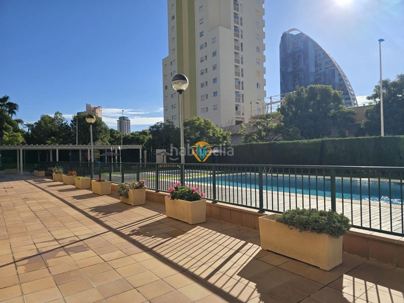 Foto 4e494946-a974-4346-bd90-a847f4941b24. Apartament amb calefacció aparcament piscina a Via Parque Benidorm