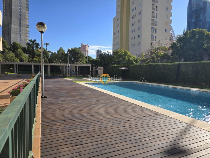 Foto 9b86f24b-26f8-4582-b9c5-eb82a9419b0e. Apartament amb calefacció aparcament piscina a Via Parque Benidorm
