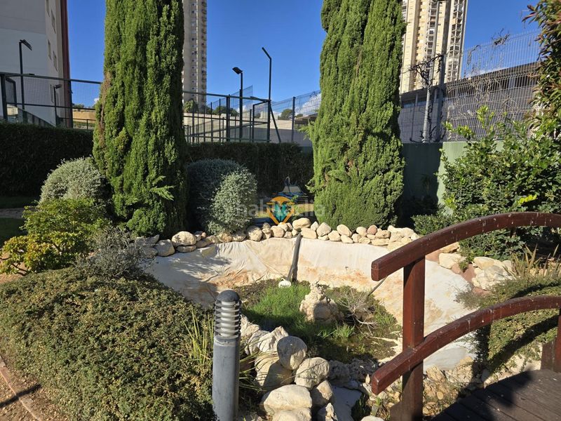 Foto 9d5d7514-2572-4dbe-af03-175ff4262706. Apartament amb calefacció aparcament piscina a Via Parque Benidorm