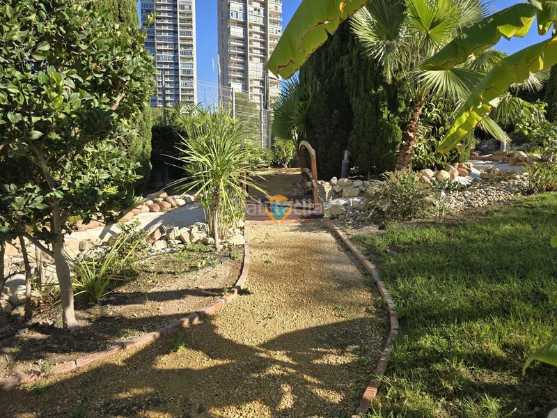 Foto cb1e0527-2e01-46d9-ba46-eb28b636765f. Apartament amb calefacció aparcament piscina a Via Parque Benidorm