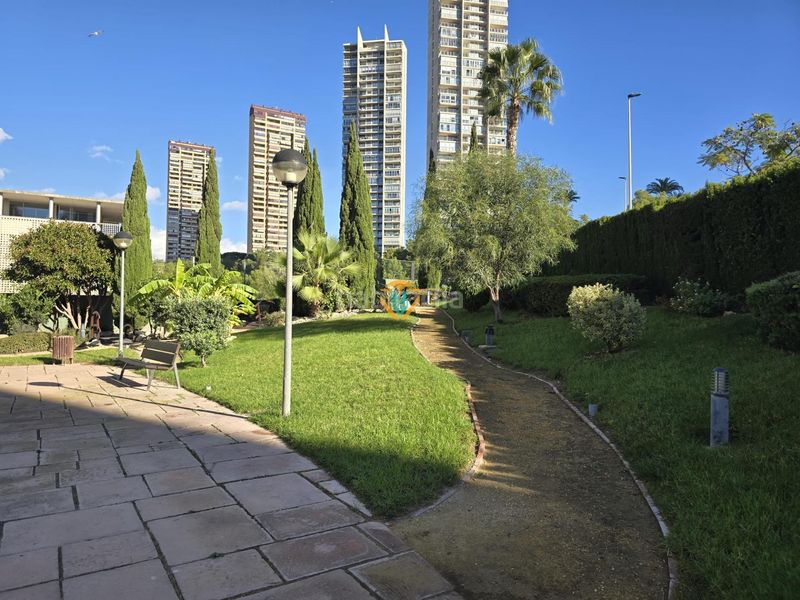 Foto f5949ff6-7a97-4341-88c0-0dc1e8622f2c. Apartament amb calefacció aparcament piscina a Via Parque Benidorm