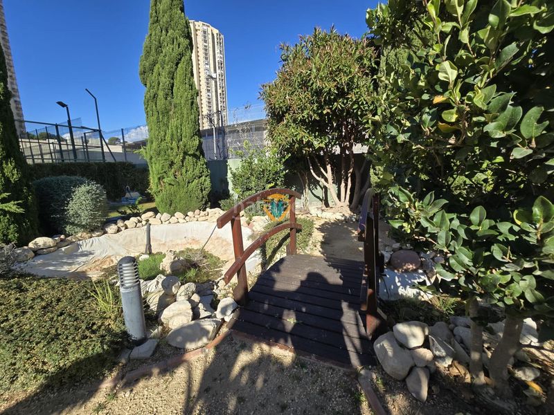 Foto fddc6972-f3a0-44d8-91dd-b10d07fd8ec5. Apartament amb calefacció aparcament piscina a Via Parque Benidorm
