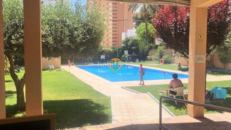 Foto fde27623-3fcc-4d25-96ca-3e0952aa416d. Estudi amb aparcament piscina a Juzgados - Plaza de Toros Benidorm
