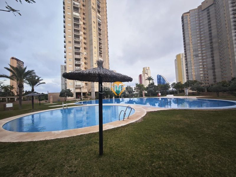 Foto 3b56bf87-c996-4923-847e-1a80da4e112c. Apartament amb aparcament piscina a Via Parque Benidorm