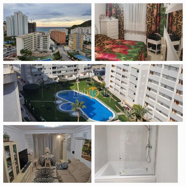 Foto cc353290-e471-4088-aab5-389f5179afd9. Apartament amb piscina a Alitana-Casablanca Vila Joiosa (la)