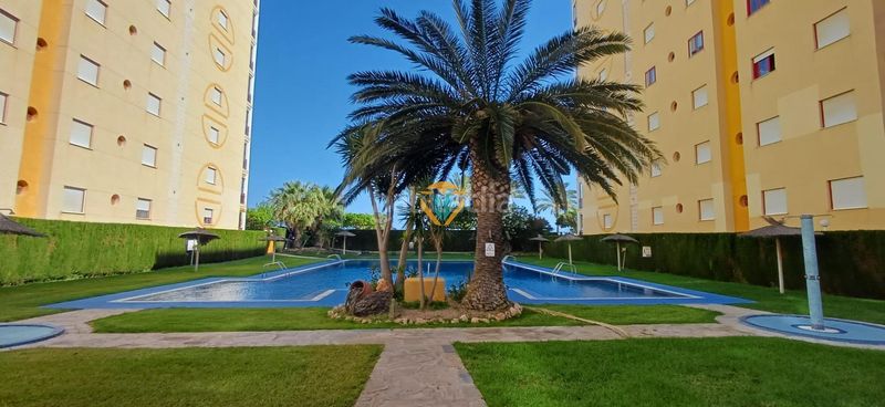 Foto c1c006c2-1494-4378-a033-96b3eb9e5eff. Apartament amb calefacció piscina a Platja de Torres Vila Joiosa (la)