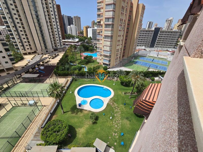 Foto 4dd348b8-d748-4cf1-b9b3-74416b013f97. Apartament amb aparcament piscina a Rincón Bajo Benidorm
