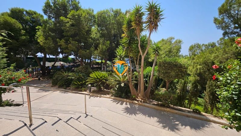 Foto 809f3e71-730f-4221-a0b9-f94be48f42dc. Flat with parking pool in Playa Poniente Benidorm
