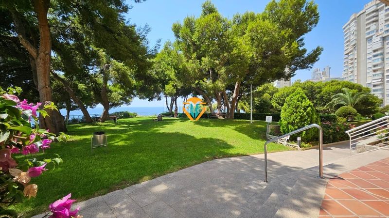 Foto c36464cf-3574-4cd8-a6b6-a3a8f172fb2f. Flat with parking pool in Playa Poniente Benidorm