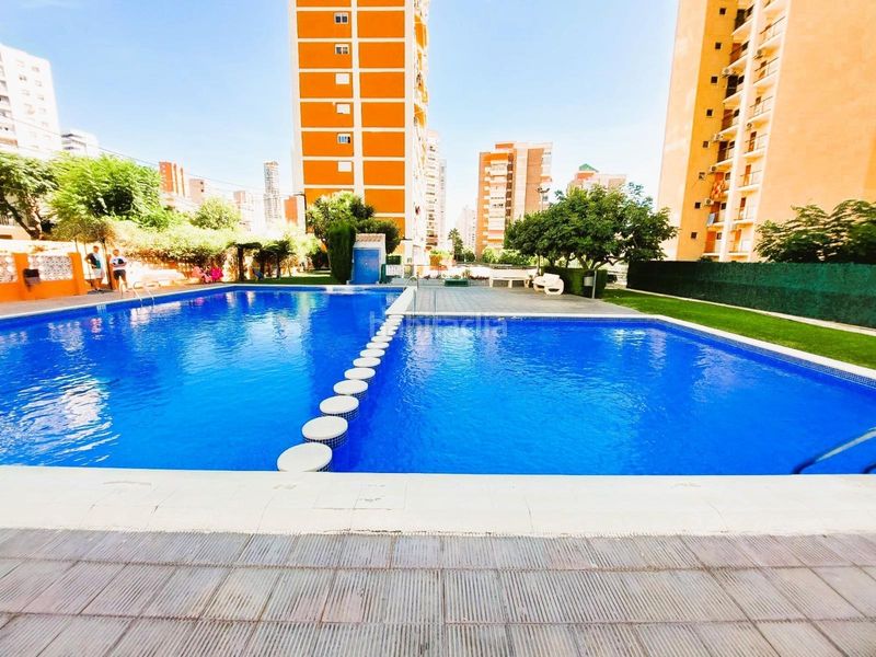 Foto 837a714b-b9ad-4ffe-8588-0f2e9edcfebd. Apartament amb piscina a Juzgados - Plaza de Toros Benidorm