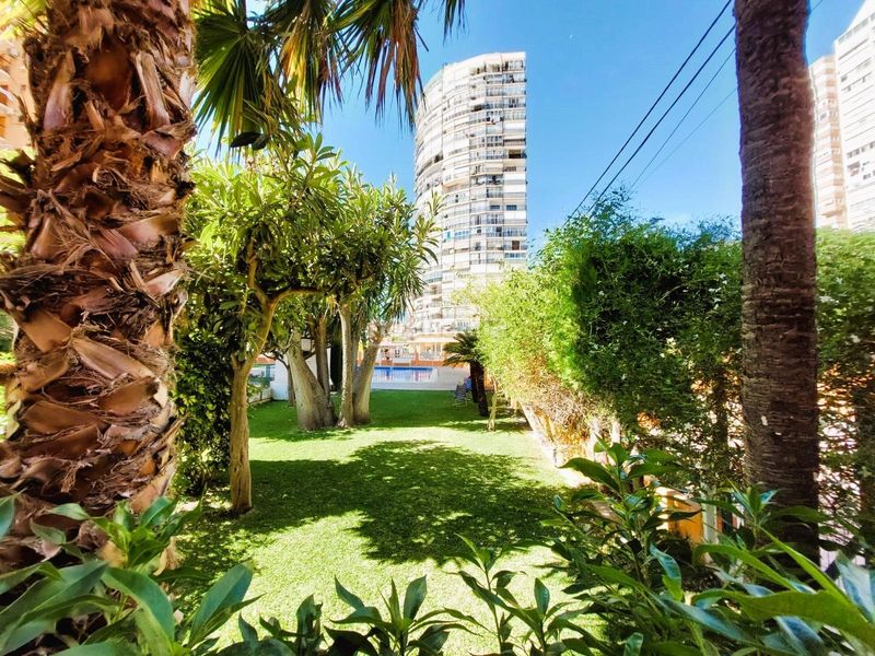 Foto a3f7f7d4-b8f8-4736-9dfa-79ae24e0d8f2. Apartament amb piscina a Juzgados - Plaza de Toros Benidorm